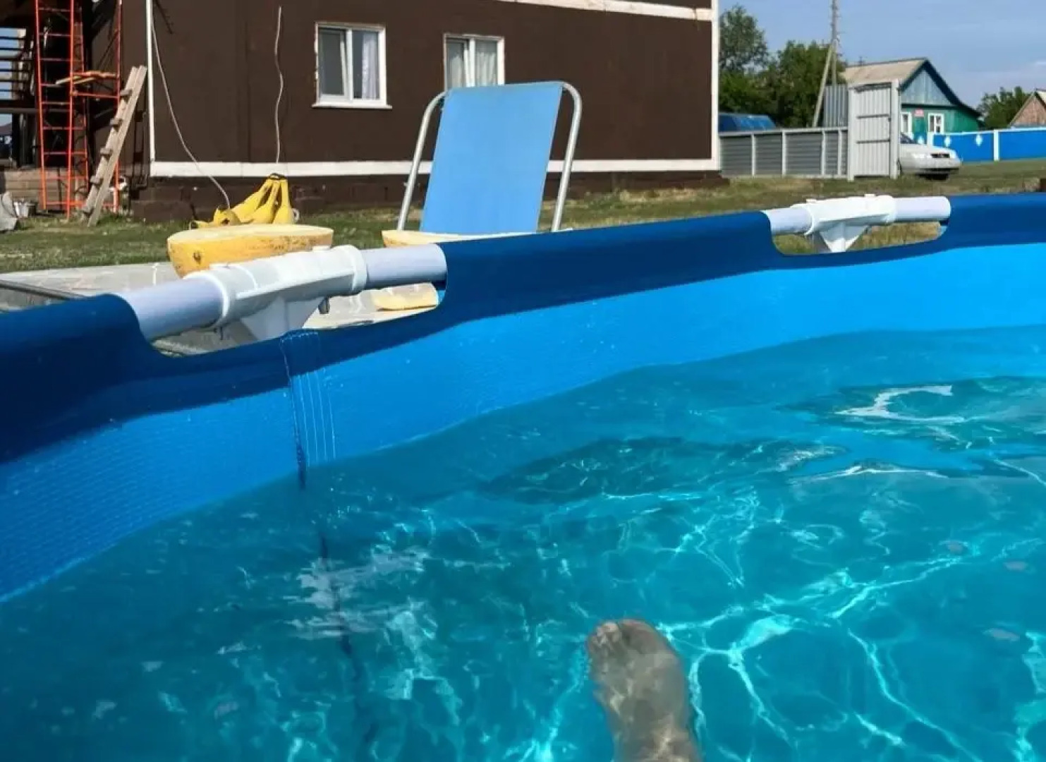 Два медведя (Новоключи)