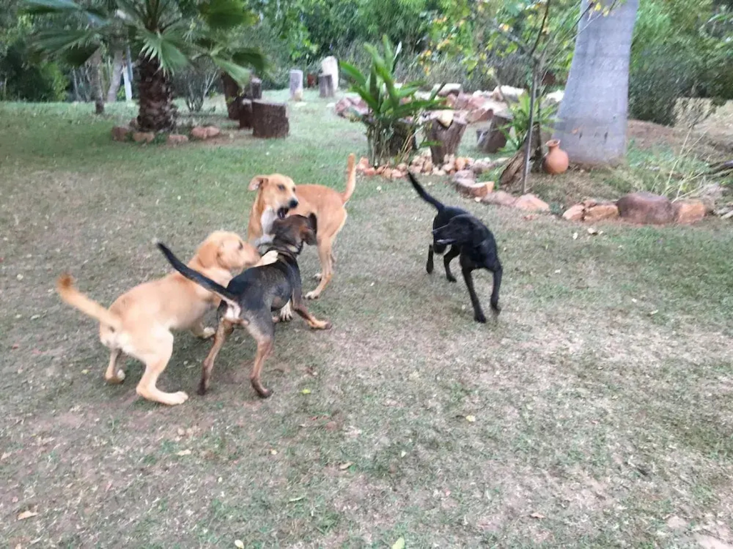 Rancho Ecologico Oasis de Luz