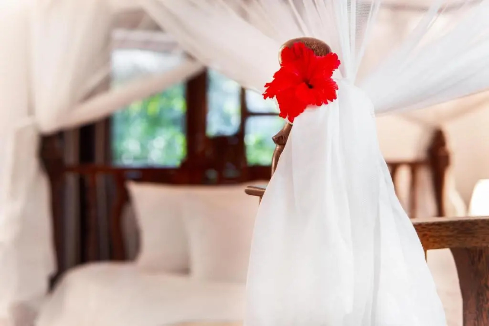 White Paradise Zanzibar