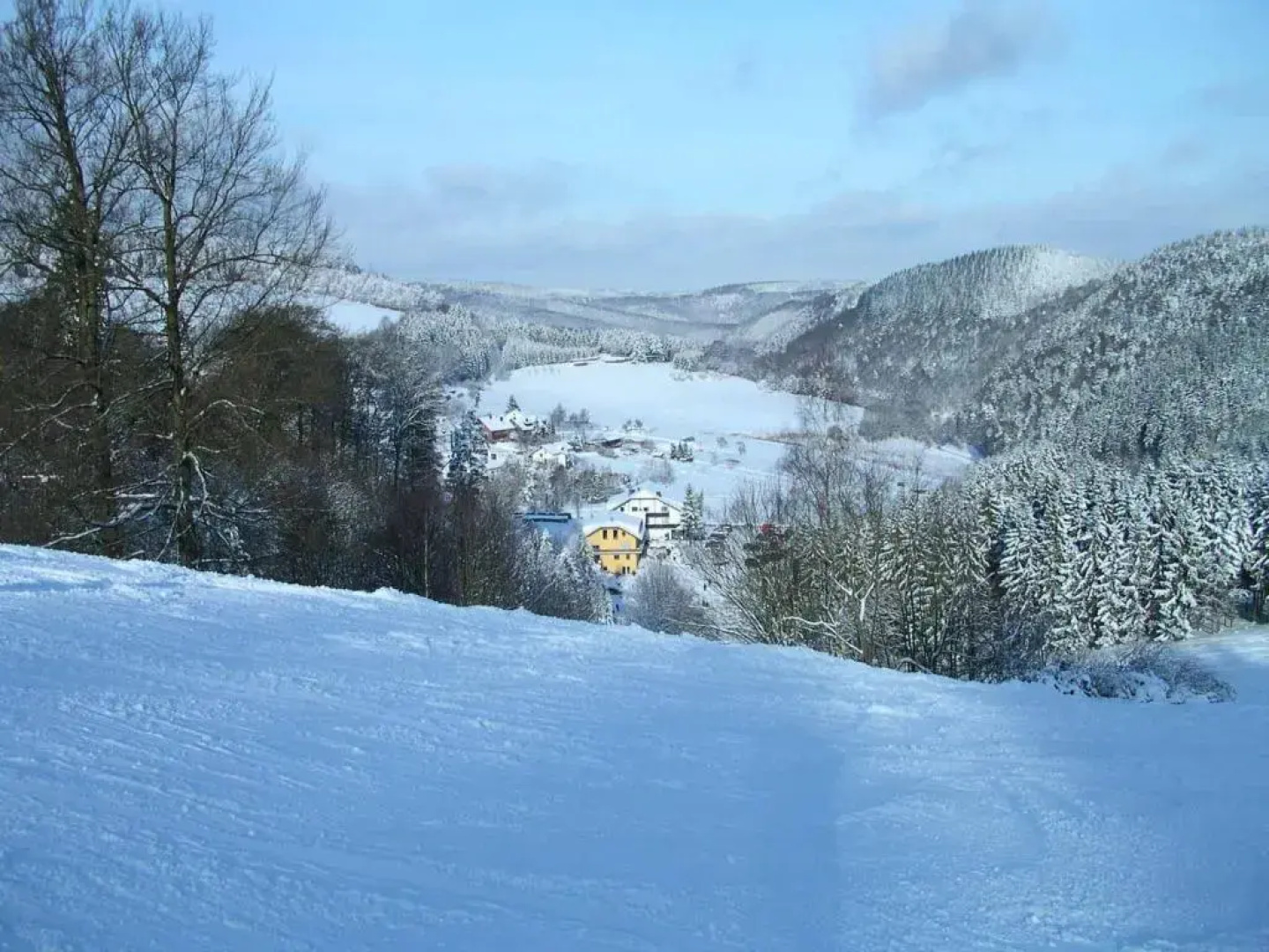 Waldhotel