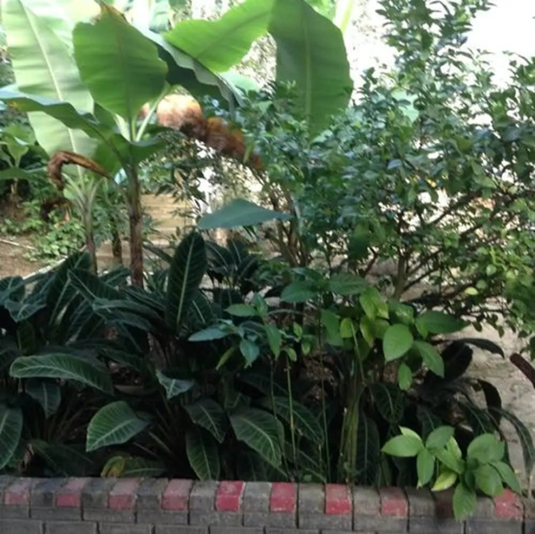 Turin Vue La Montagne Lodge