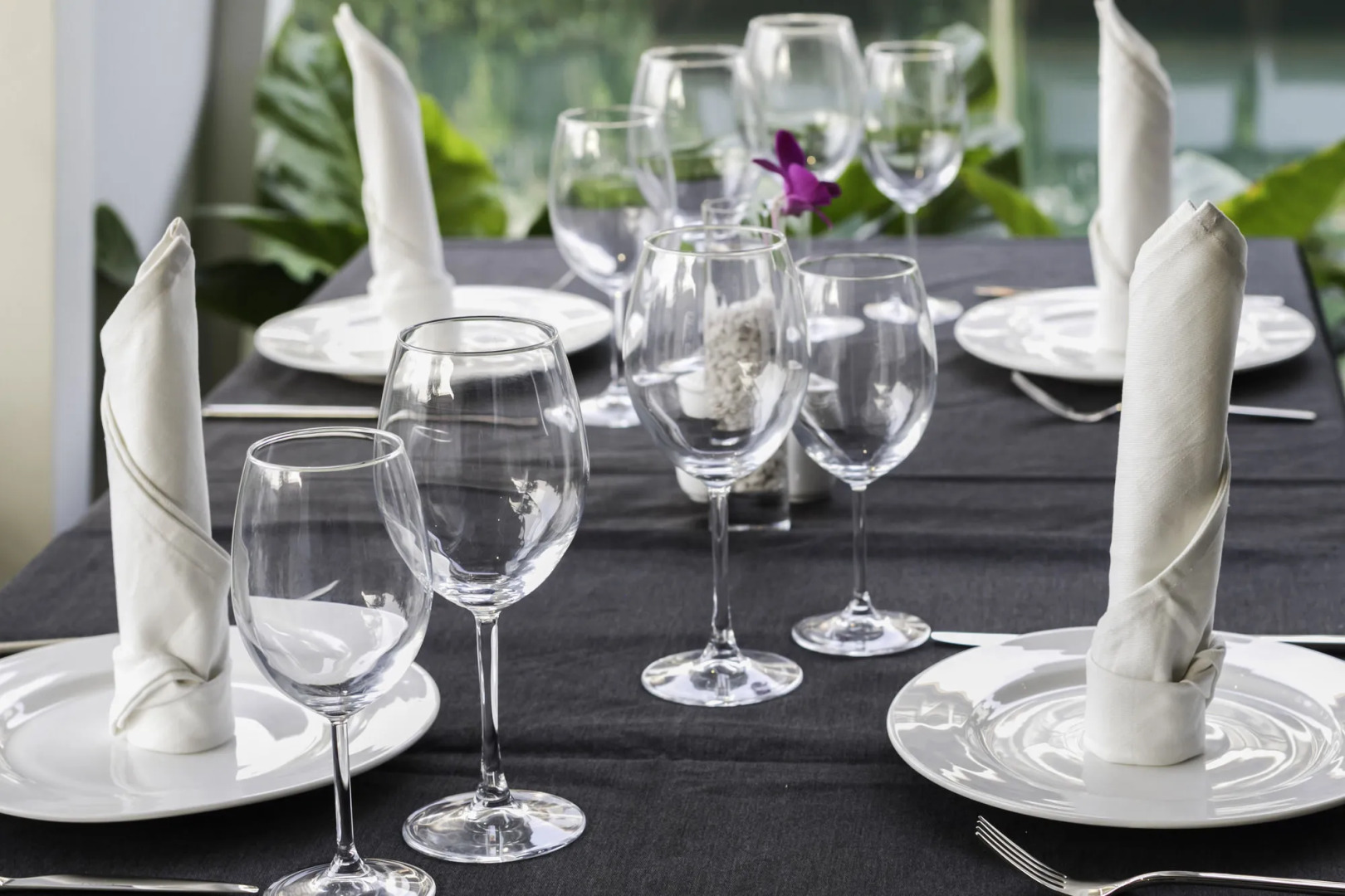 Central Suite Residence