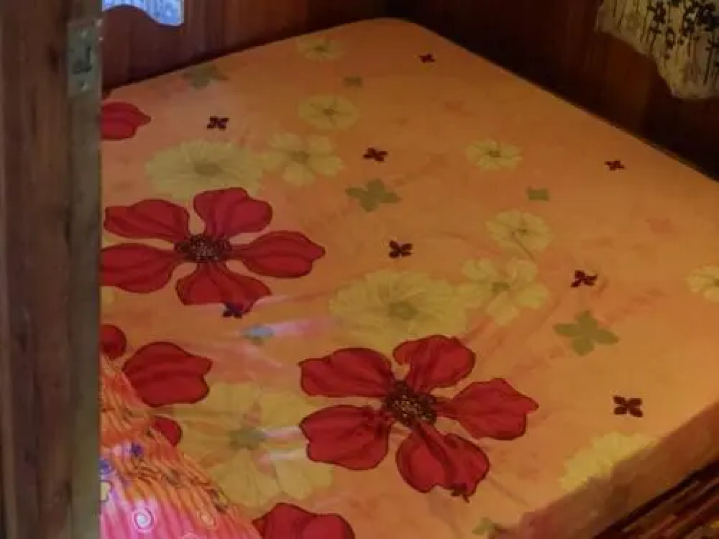 Eat-Sleep-Paddy-Repeat! Country Luxury @ Dorani