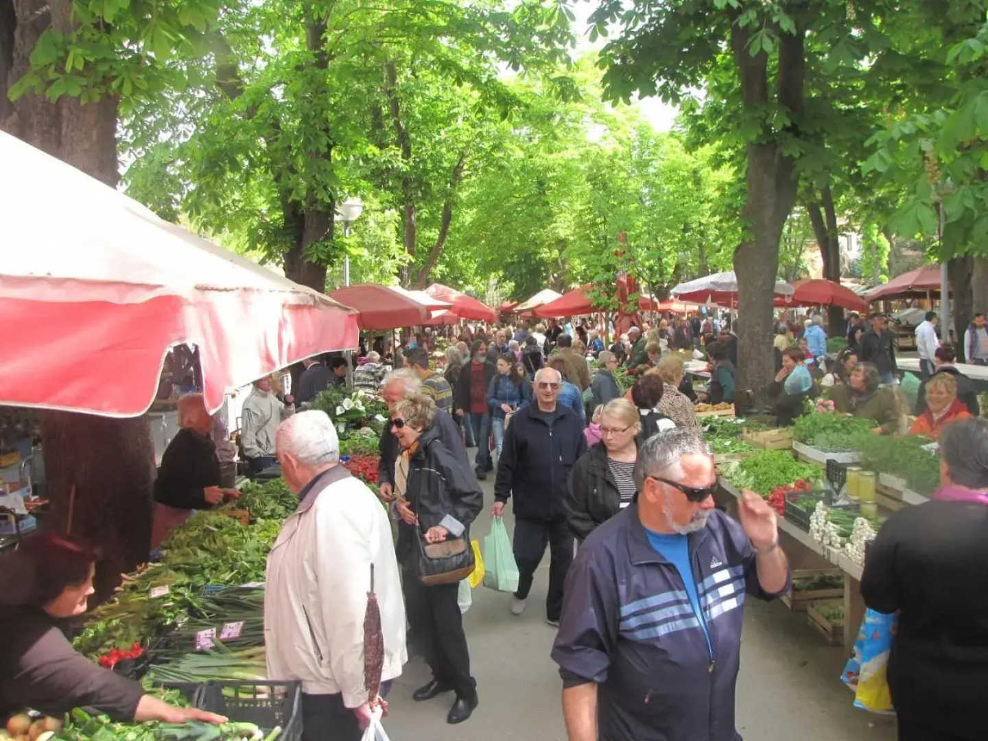 Holiday Home Casa Sole