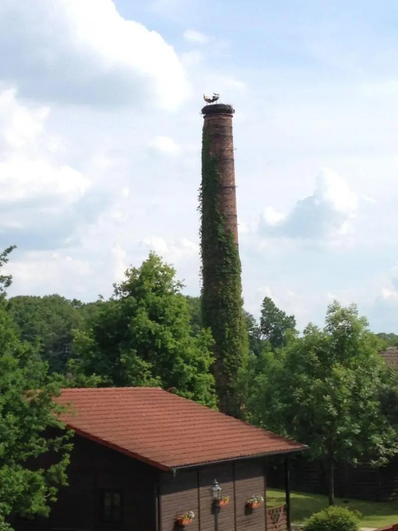 Hotel & Restaurant Zur Spreewälderin