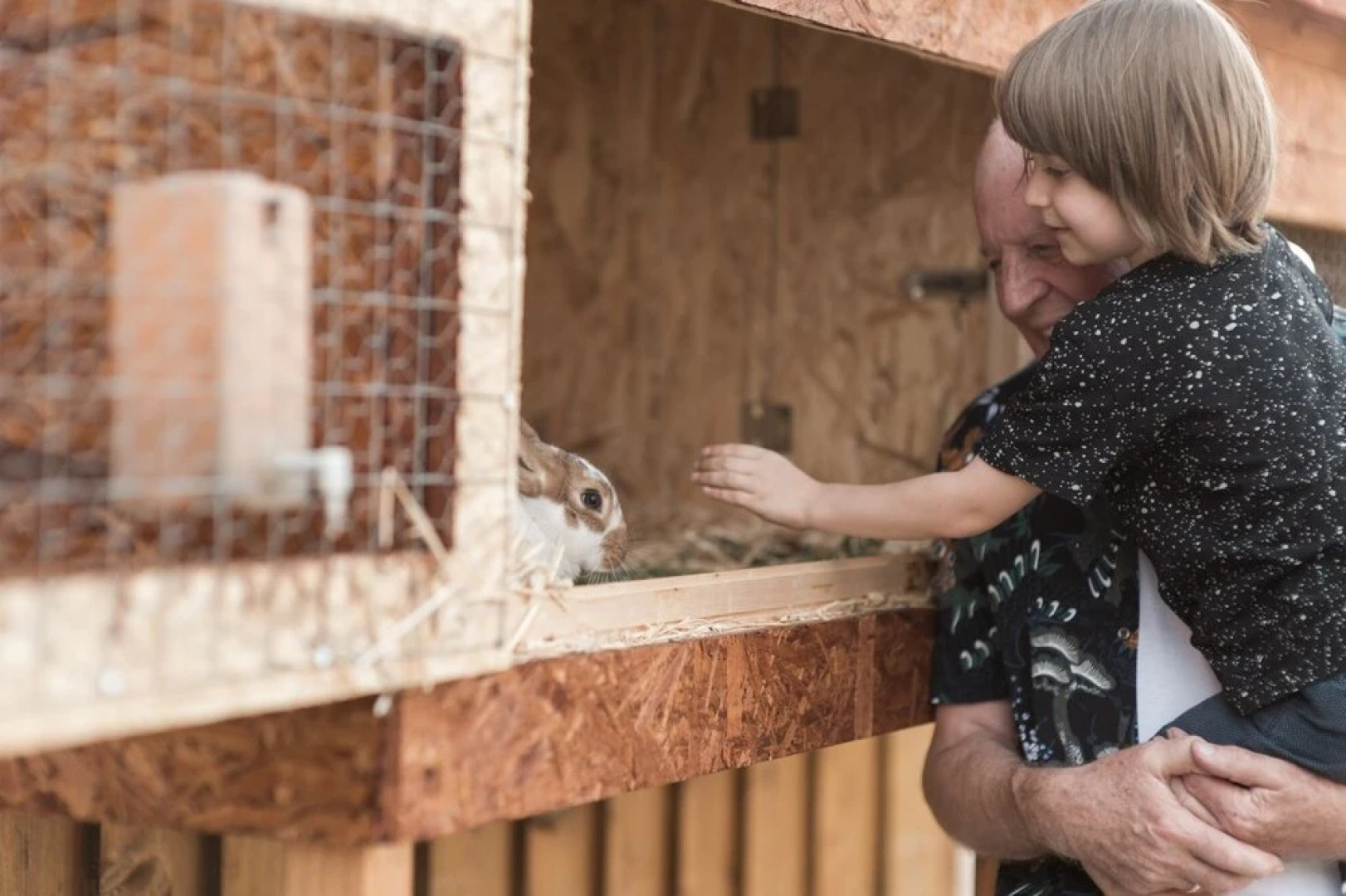 Gasthaus Pension Hofmann