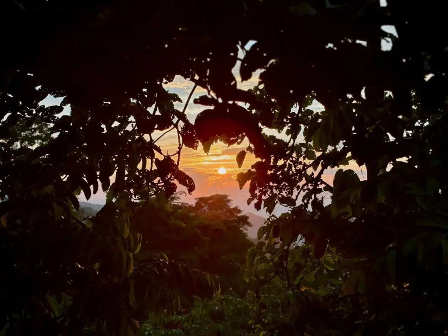 Hotel Colonial Minca