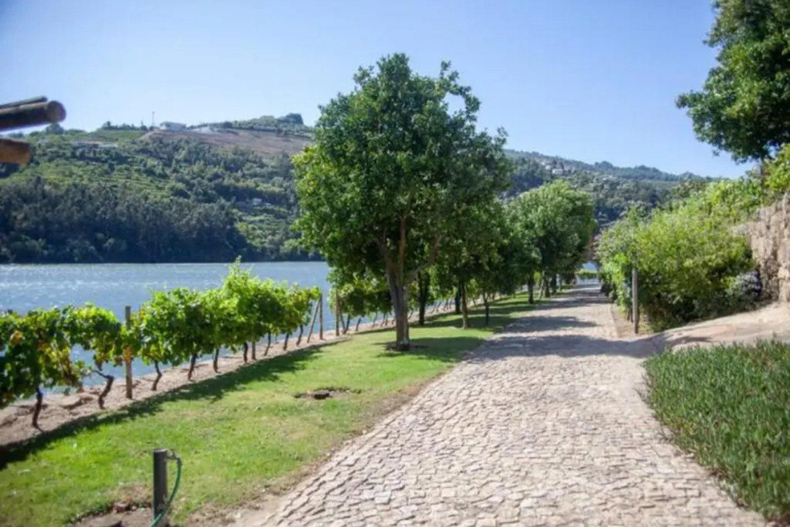 Inside Douro