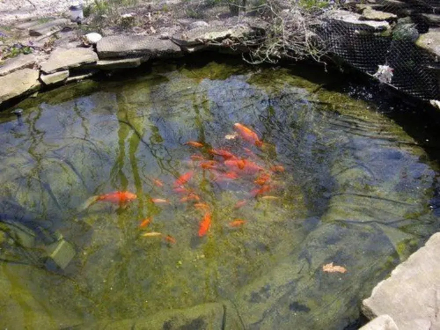 Isaiah Jones Homestead Bed & Breakfast