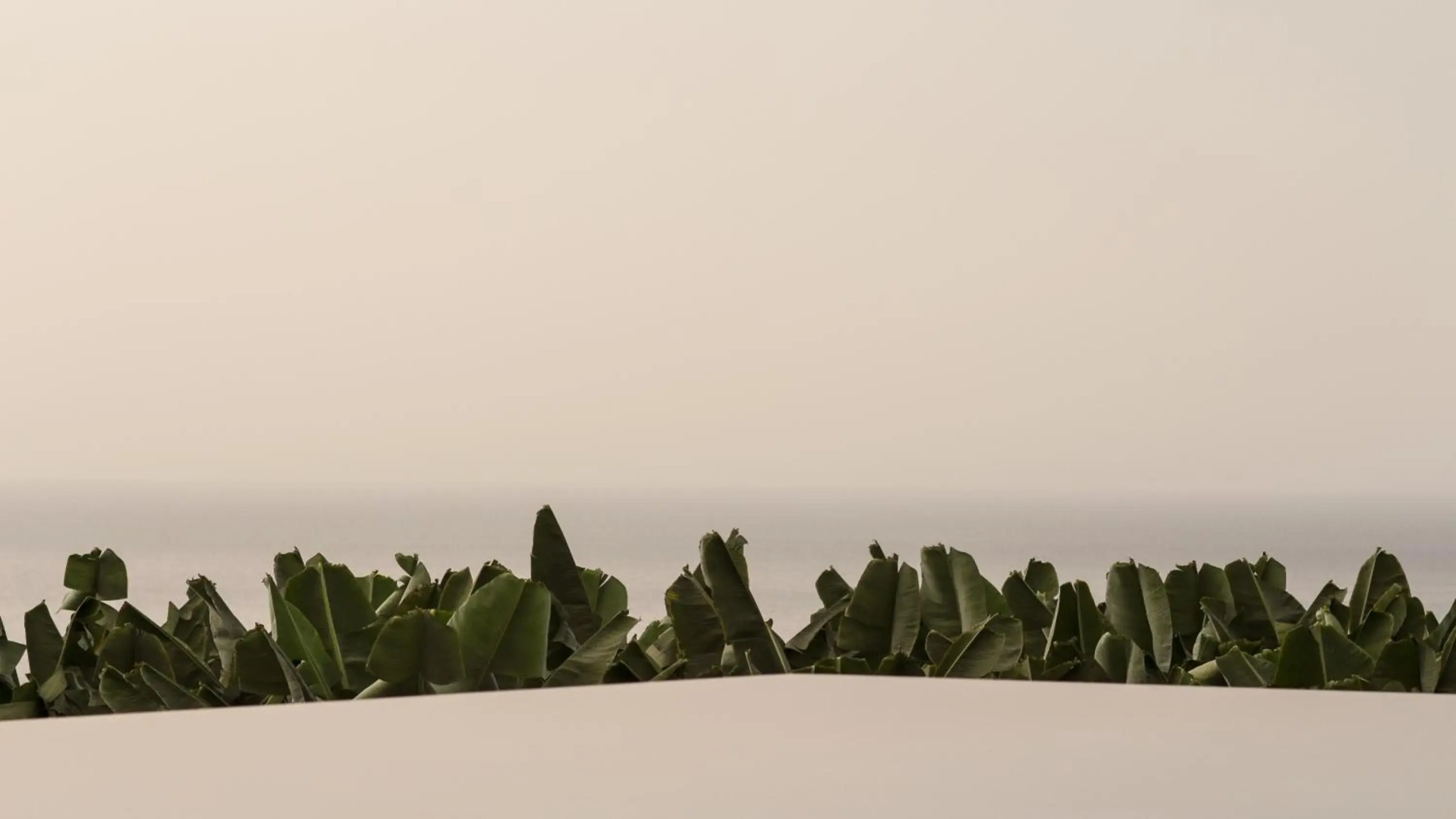 Hacienda Cuatro Ventanas