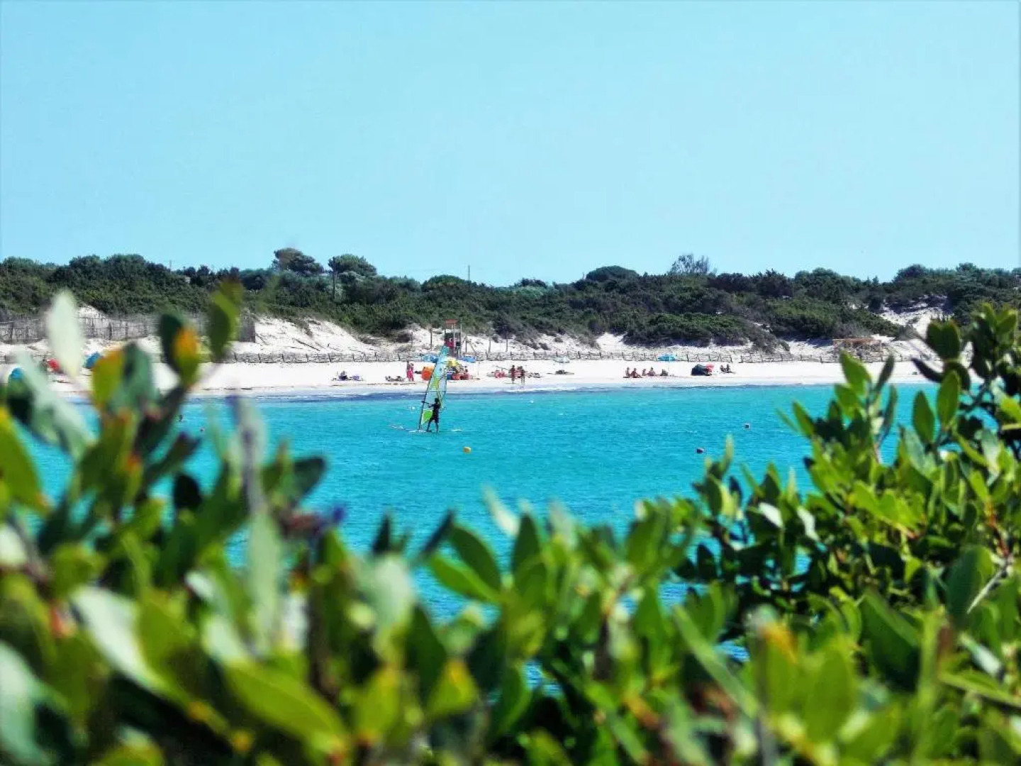 Pineta Spiaggia Grande 2