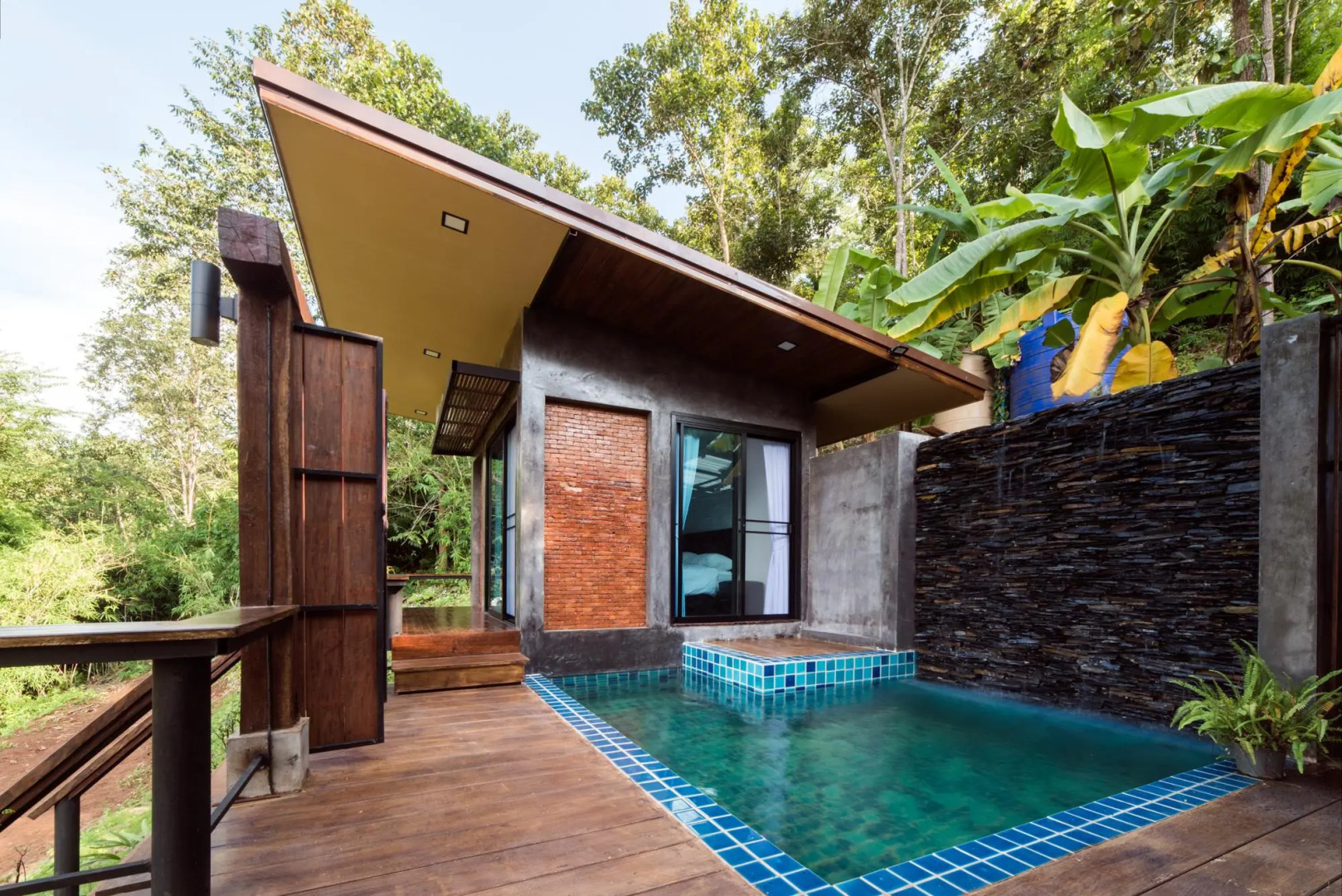 Chiang Mai Elephant Friends