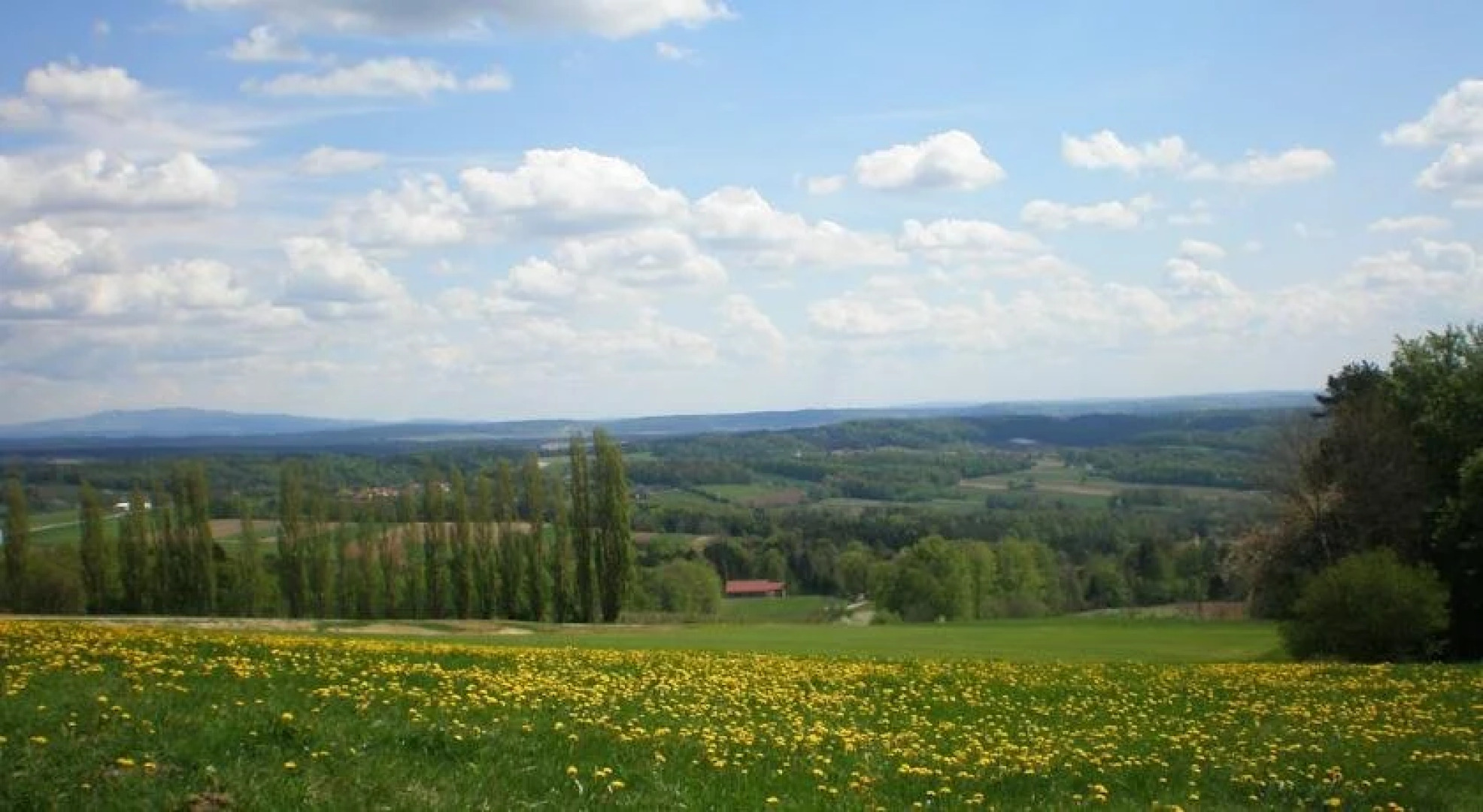 Wiesenbauer - Schlögl Anton