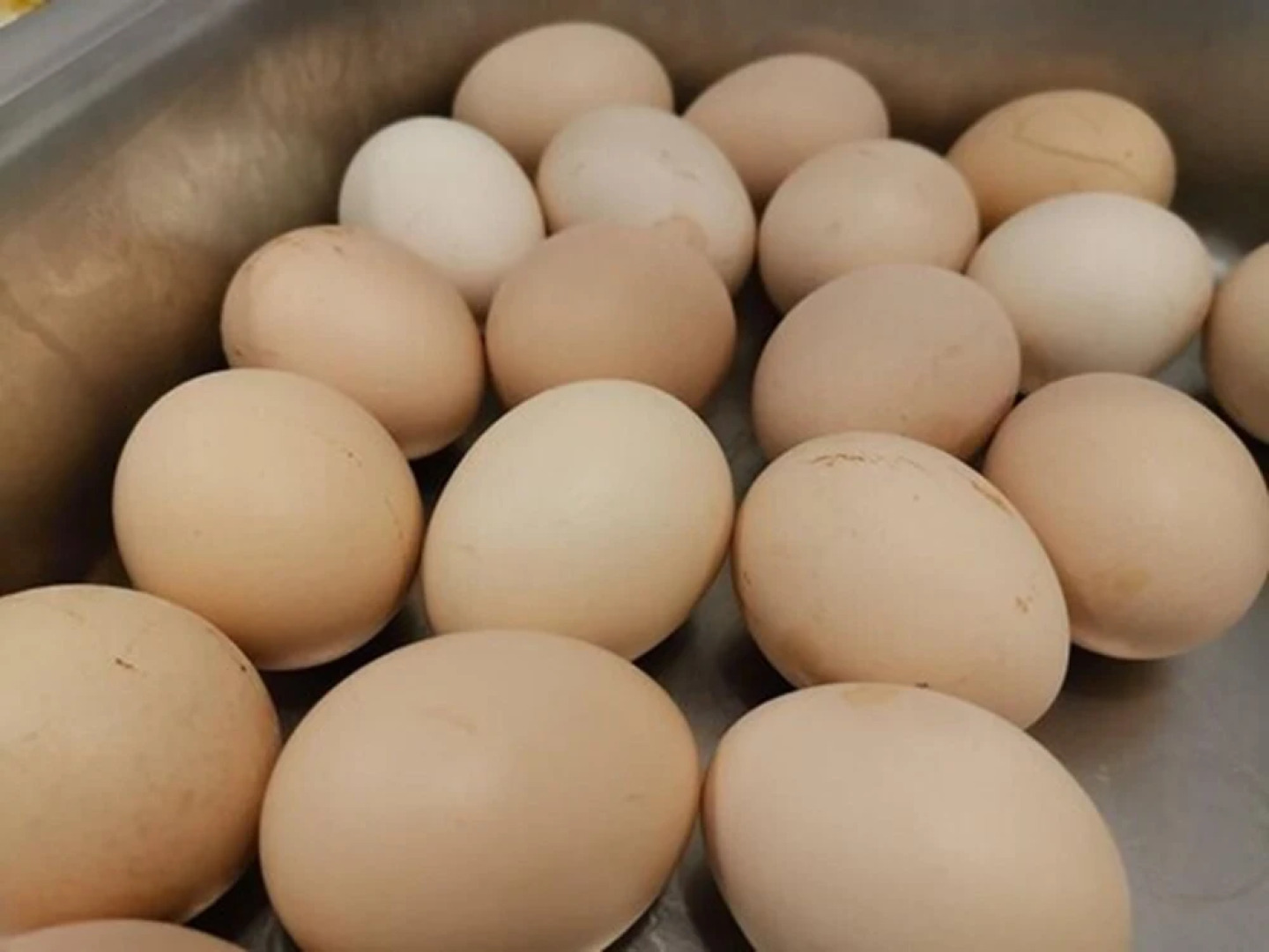 Zhongshan Bafei Hotel