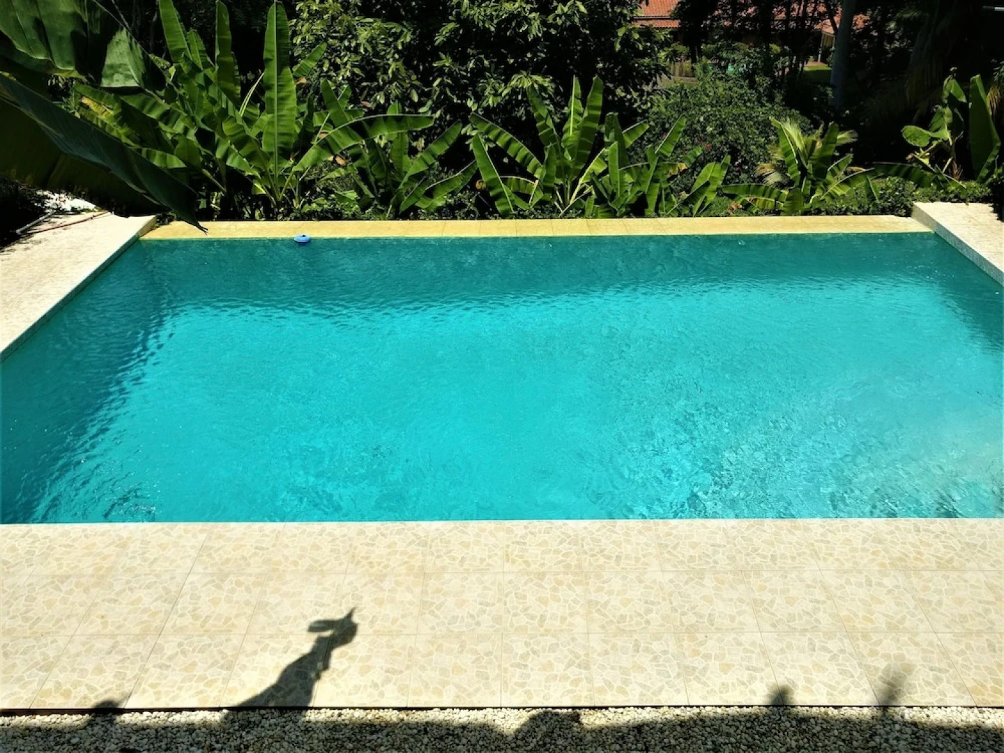 Tobago Hibiscus Villas and Apartments