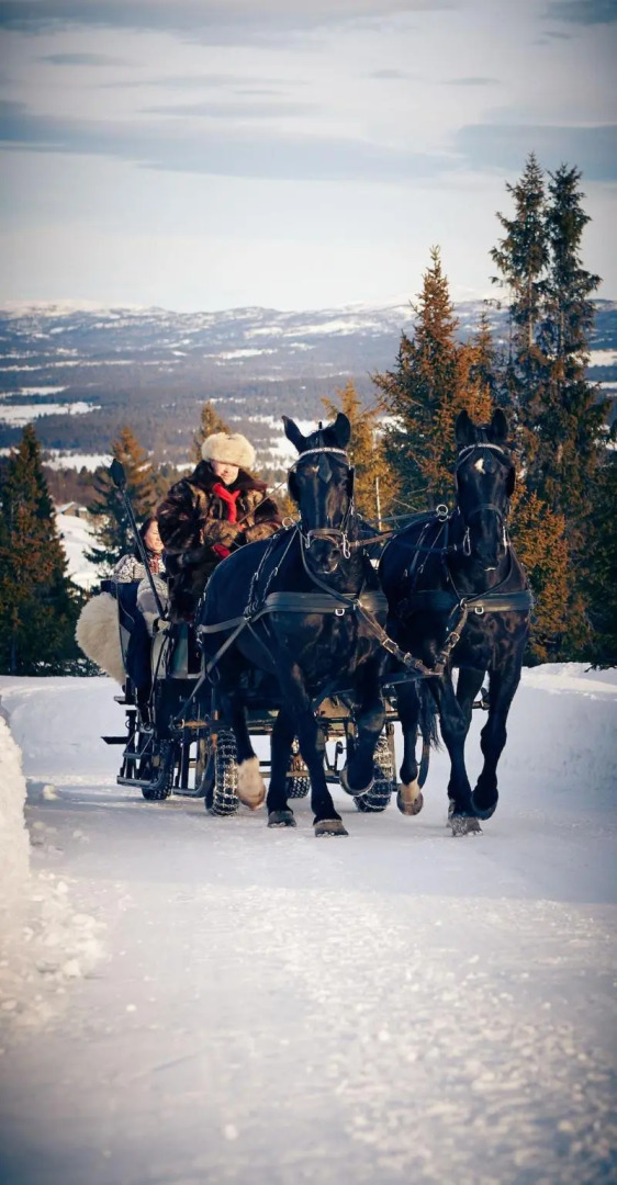 Storefjell Resort Hotel