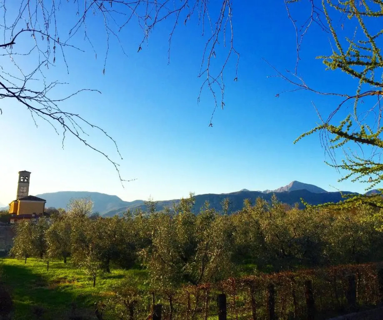 AllAntica Scuderia Del Castello