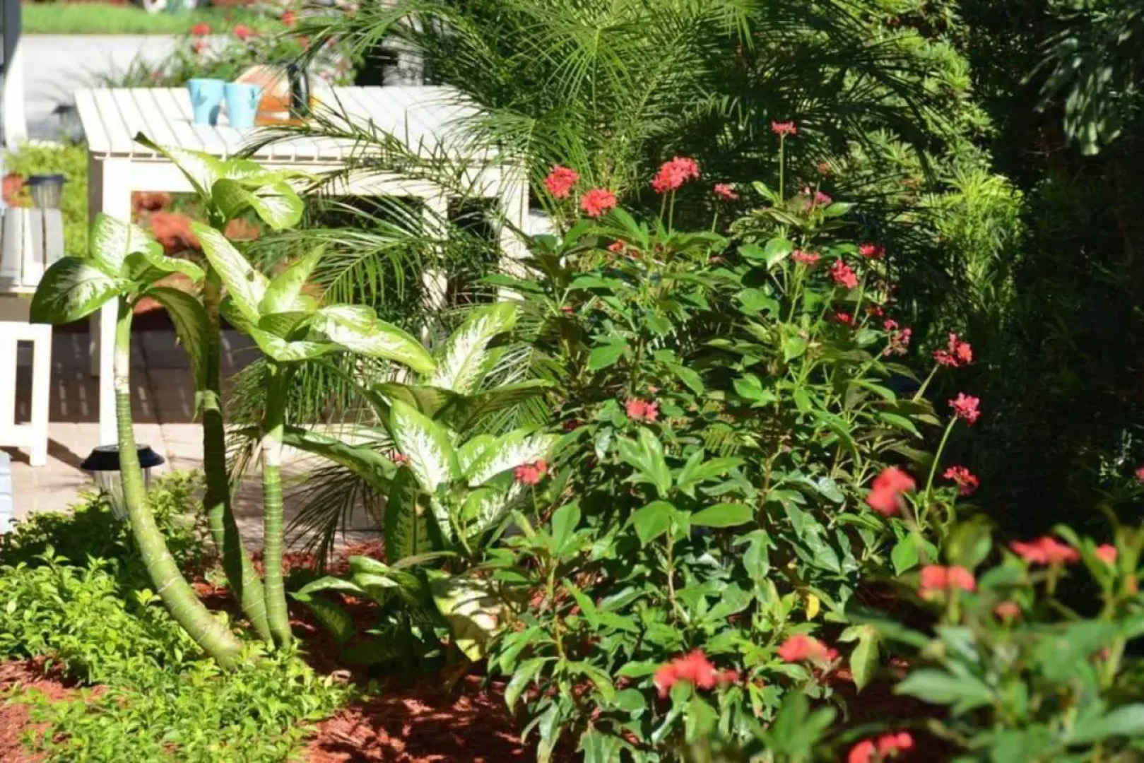 Steps to Sand and Sea 3