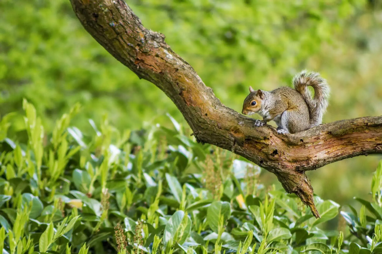 Pretty Maid House B&B