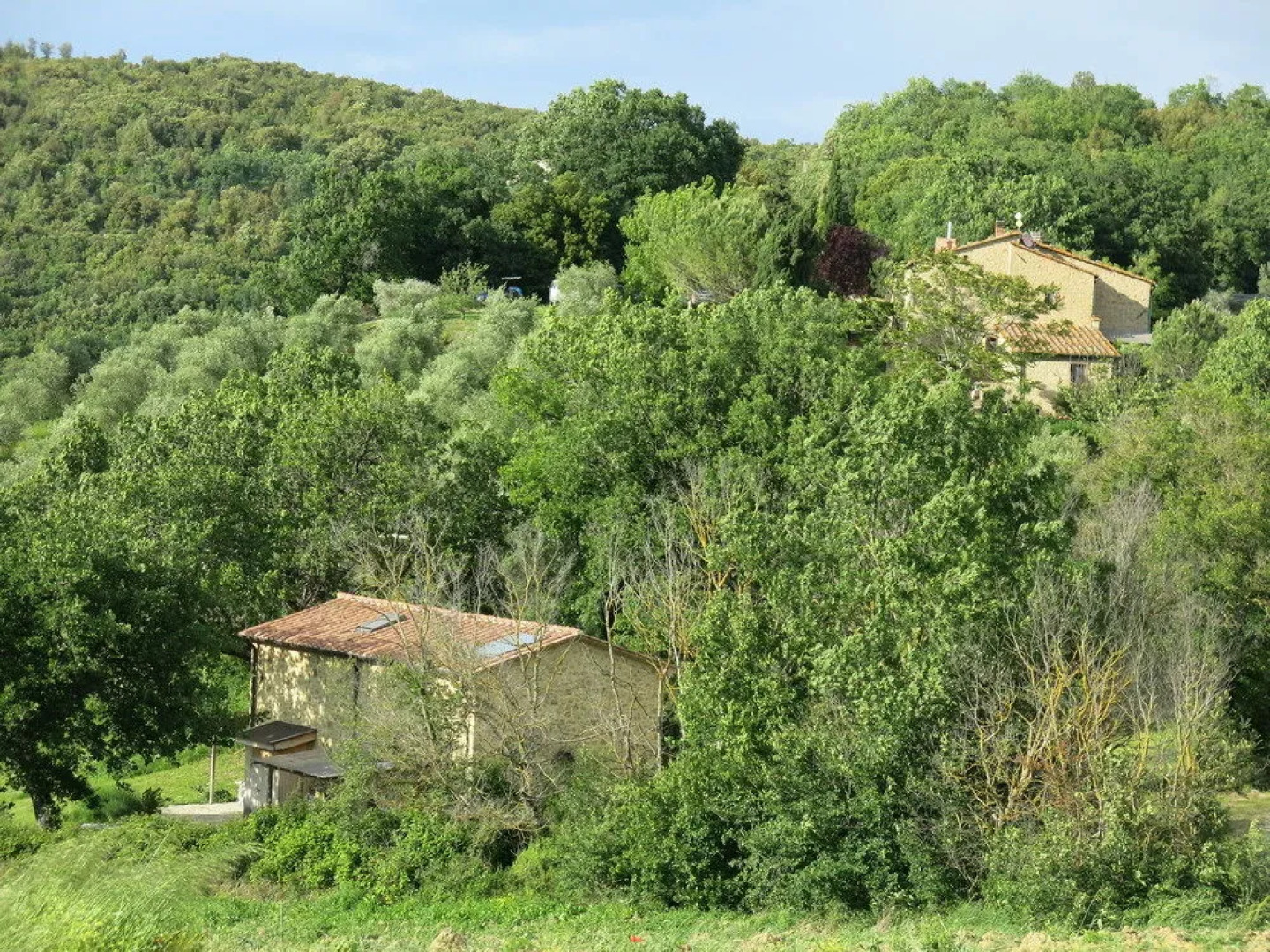 Agriturismo Apparita