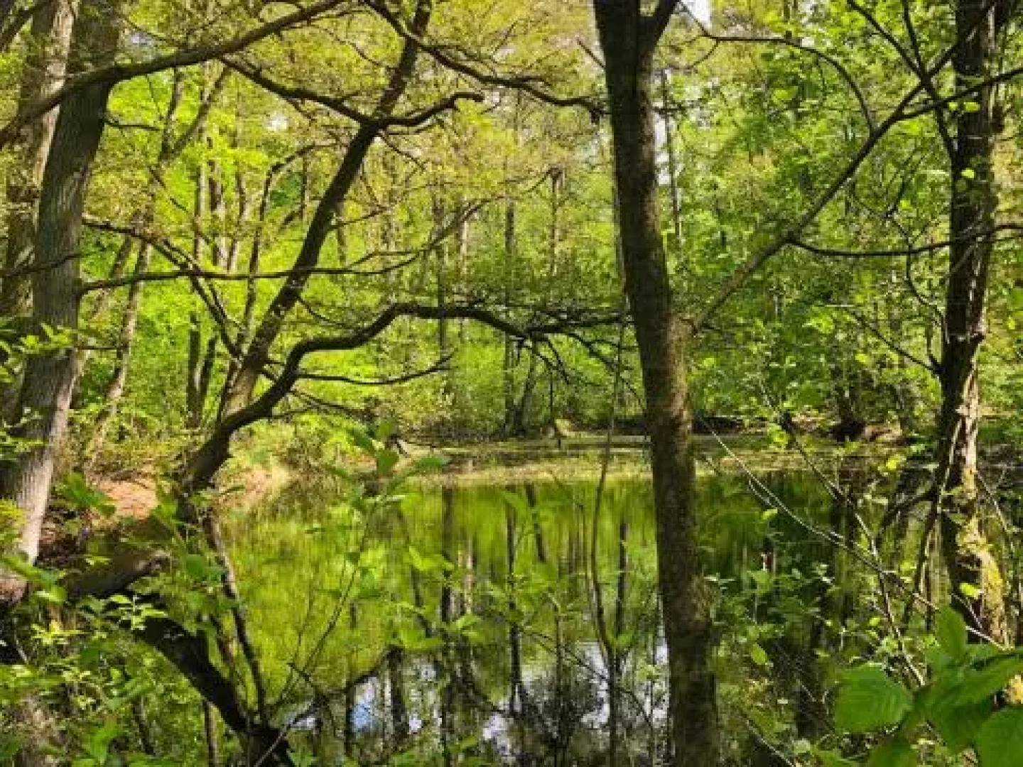 Ferienhaus Pruchten FDZ 201