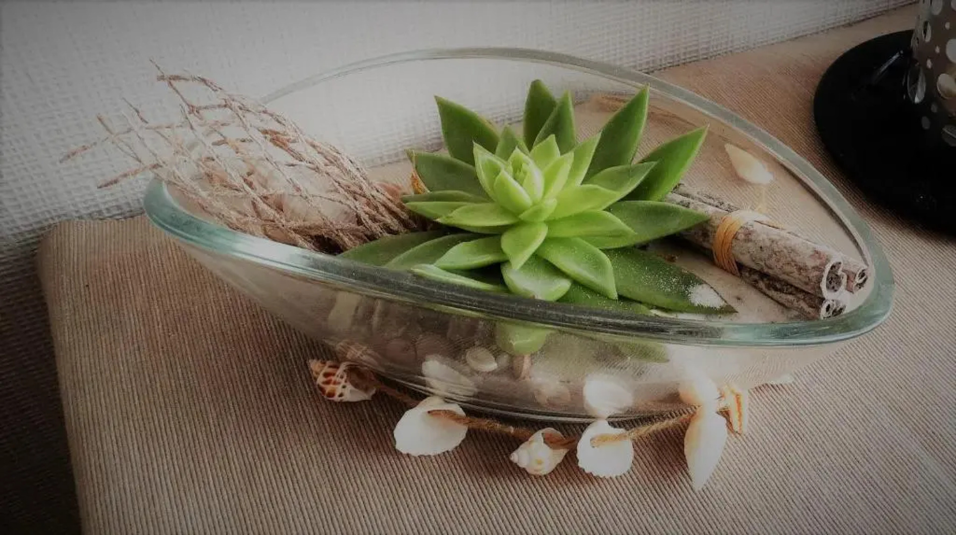 Das Häuschen in Taddigshörn