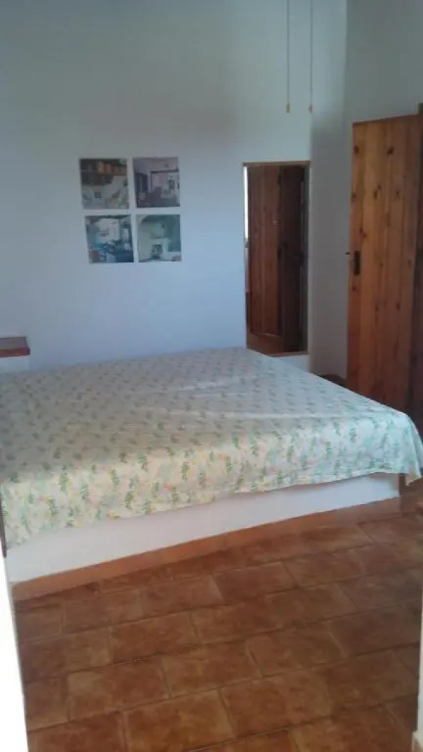 The large bougainvillea house