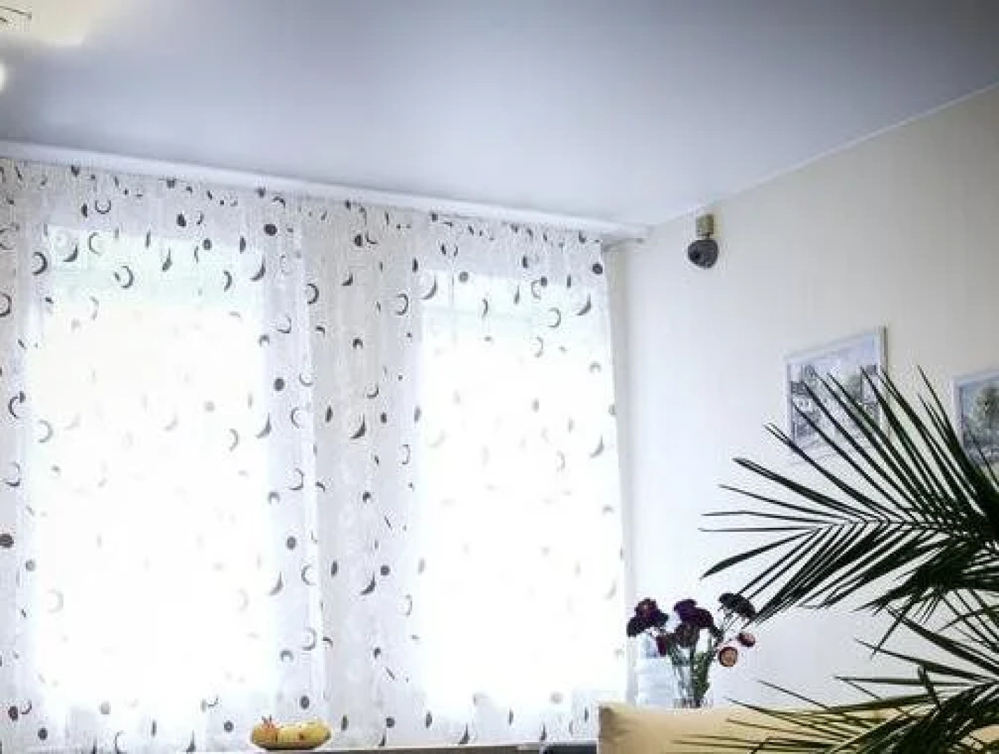 Хостел Кукуруза