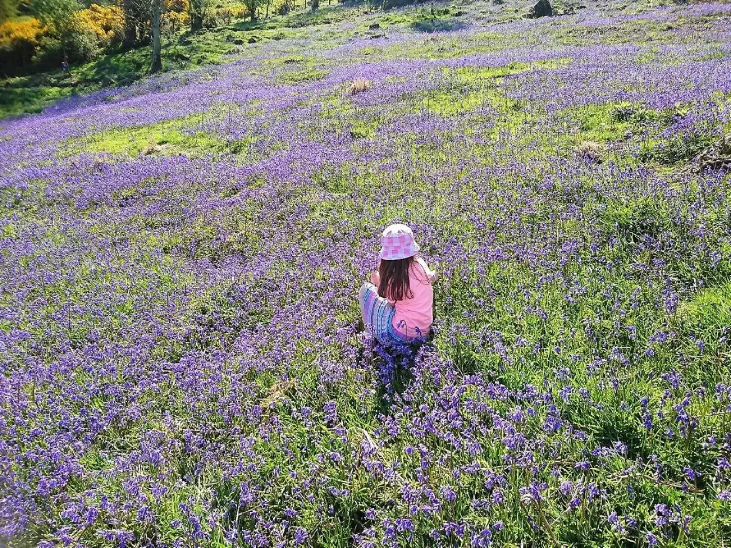 GlenHaven Holiday Accommodation