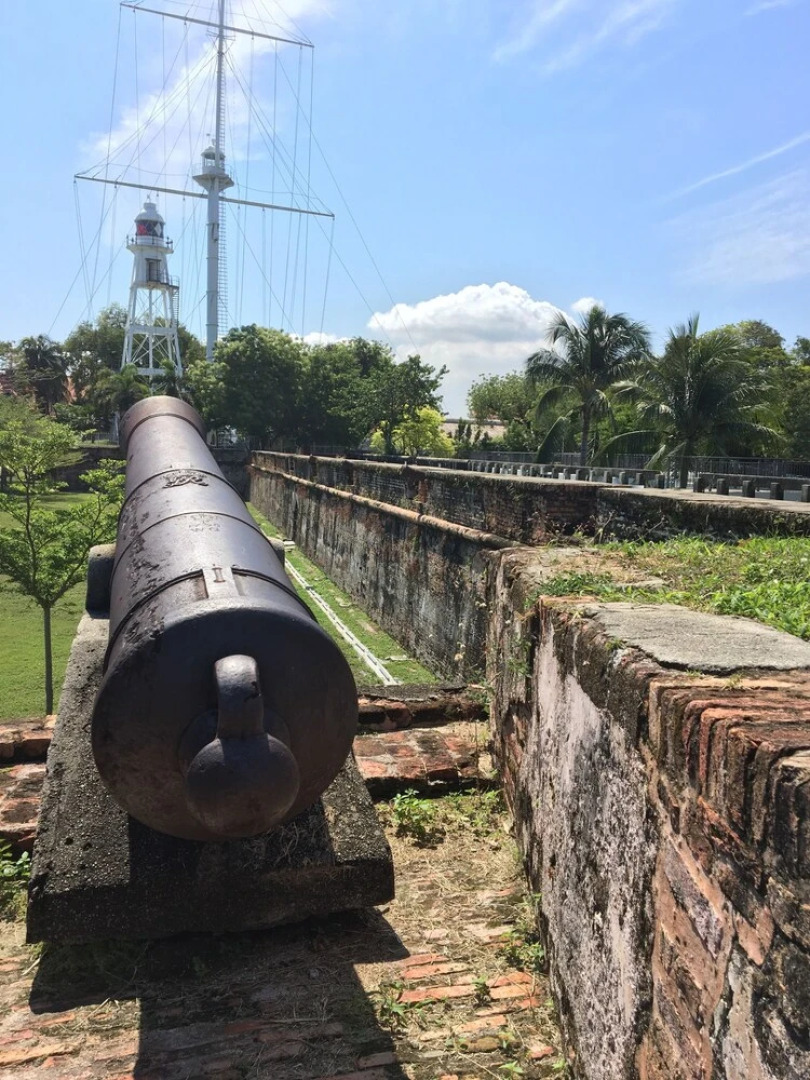 Sea Lion by the Beach