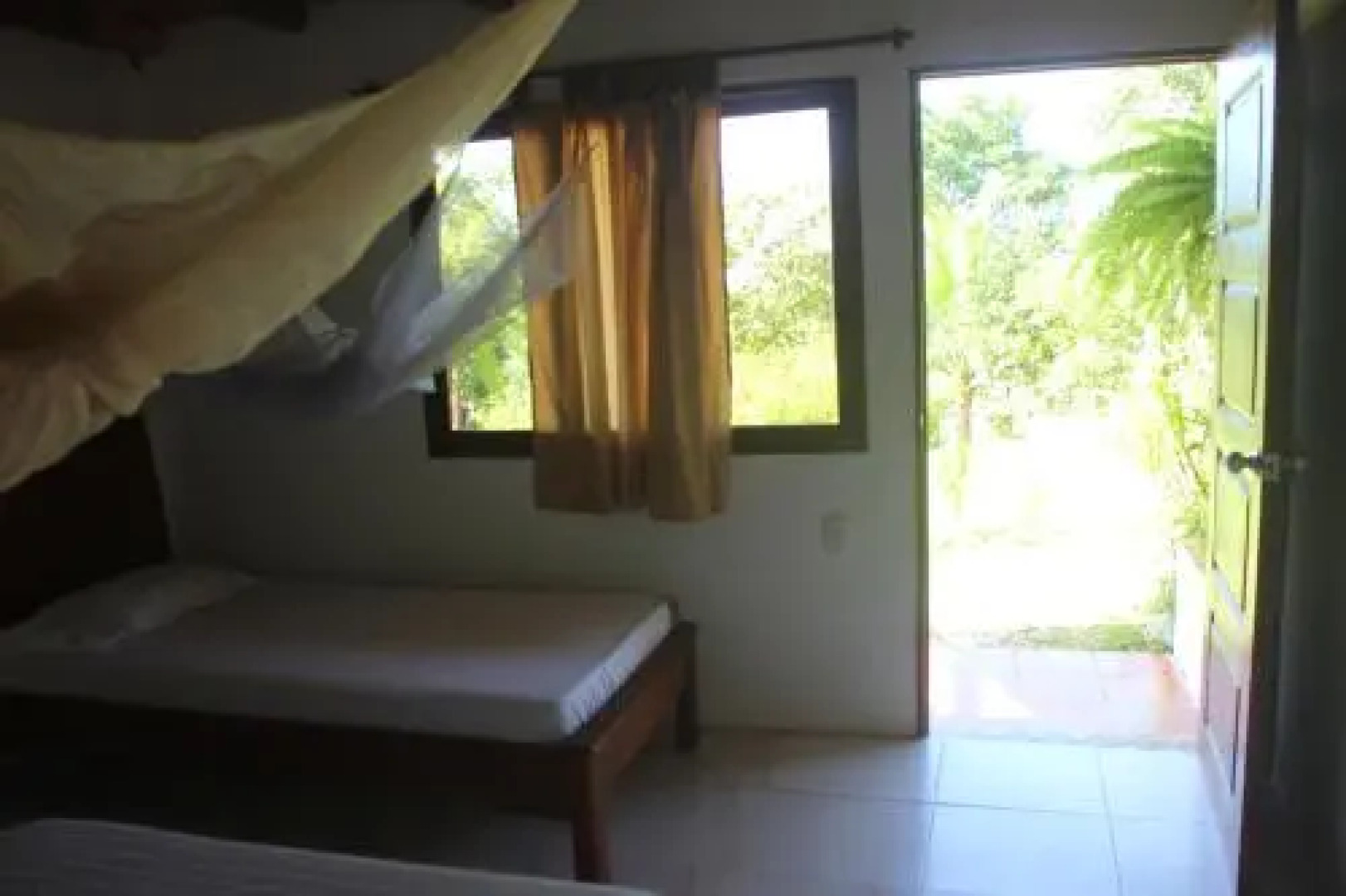 Jaguar Azul Palomino