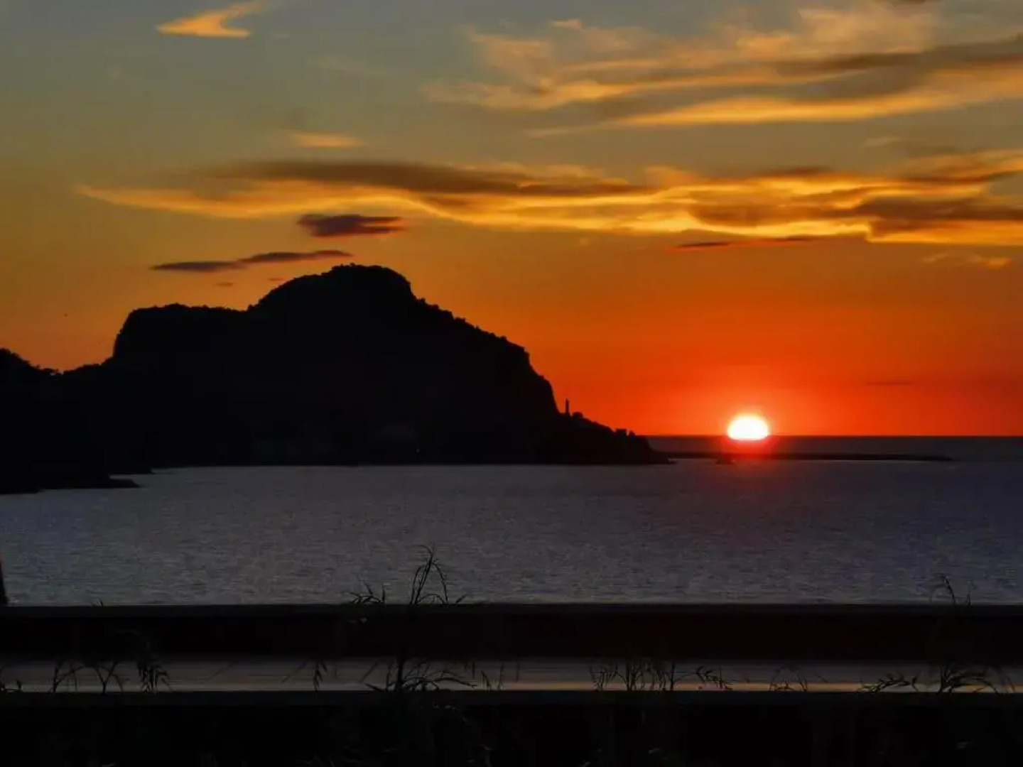 Sweet House of The Flowers