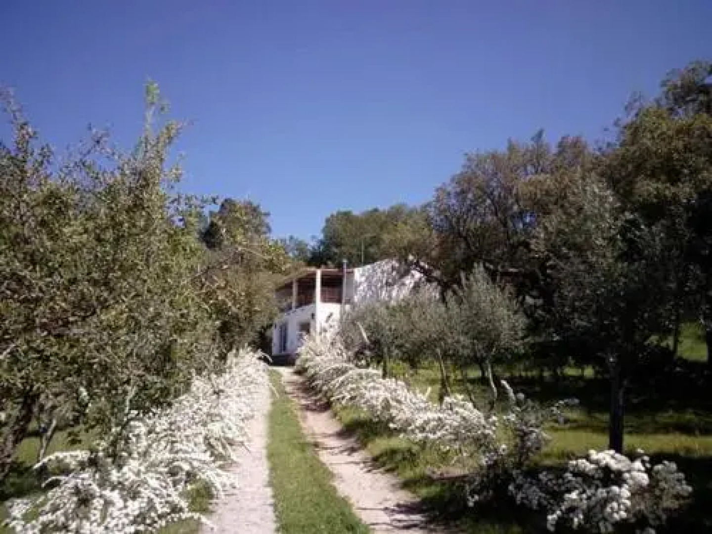 Monte De São Sebastião Do Vale Do Alcaide
