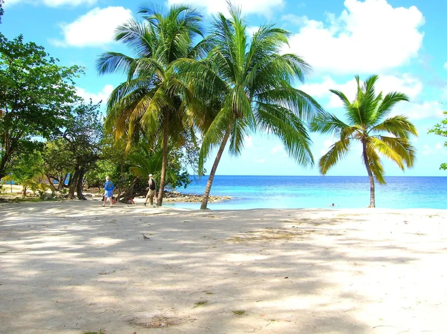 Apartment With one Bedroom in Rivière-pilote, With Enclosed Garden and