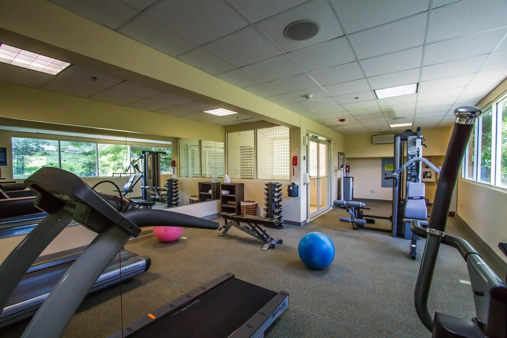 Four Points by Sheraton Caguas Real Hotel & Casino