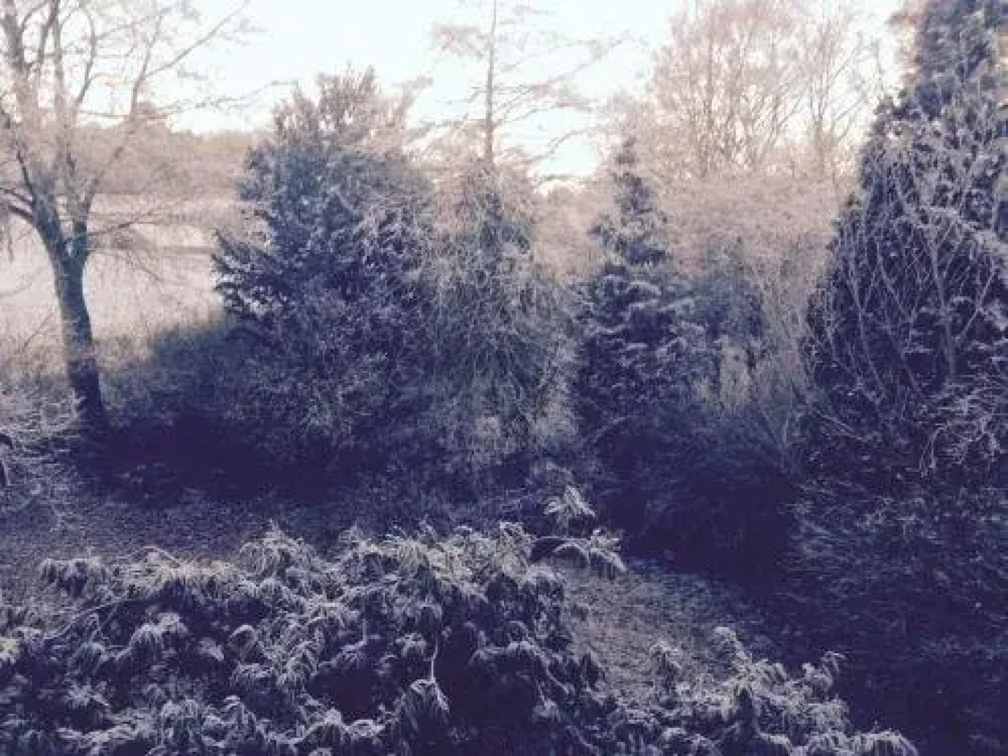 Hotel Sleep at No.15