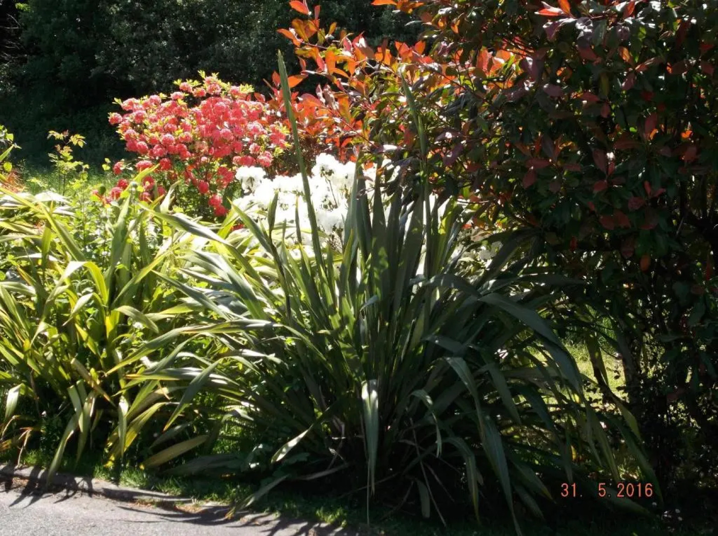 The Cedar Lodge Hotel and Restaurant