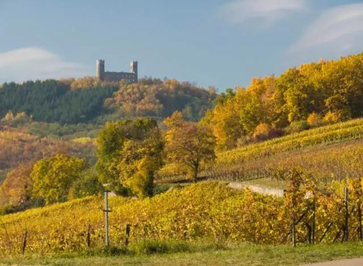Terrasses du Zimmerberg