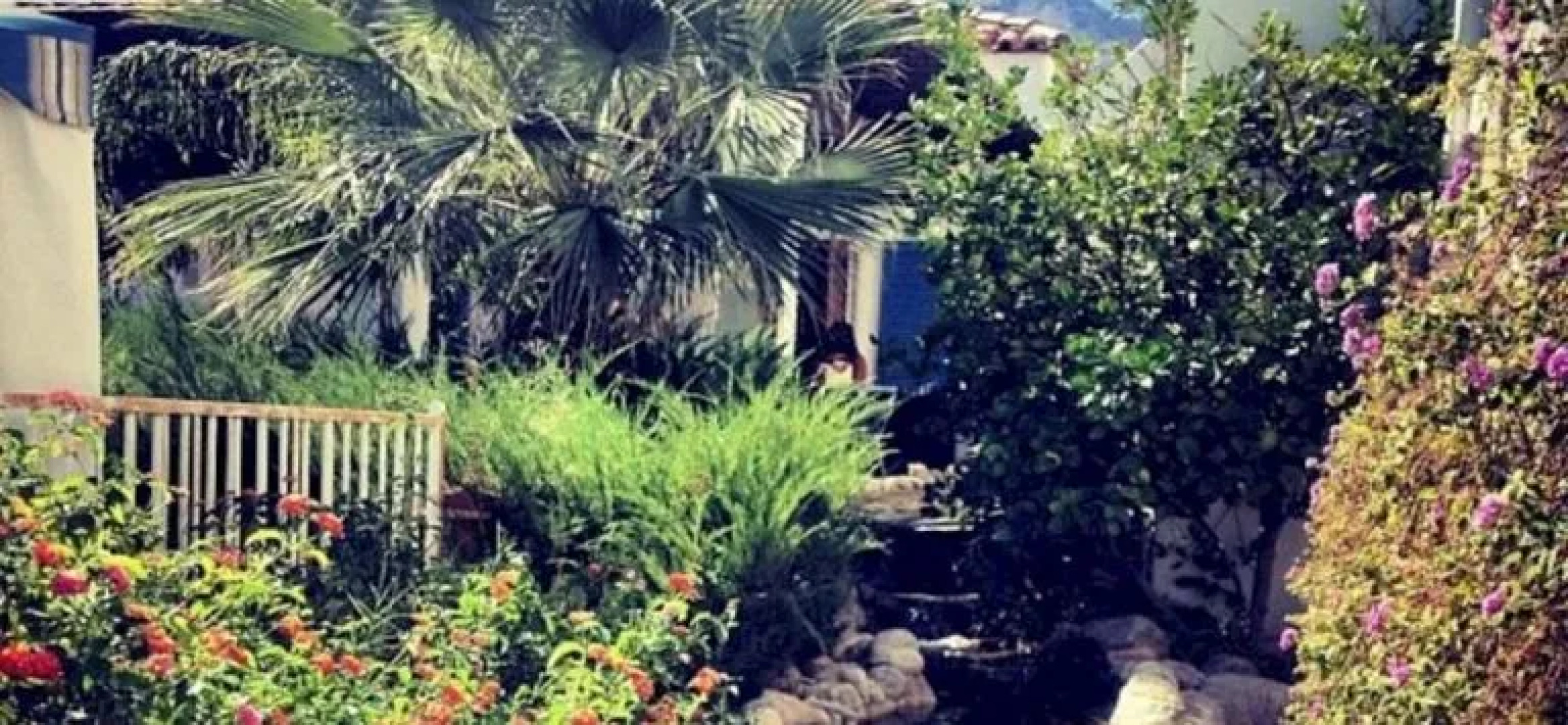 The Mediterraneo Resort