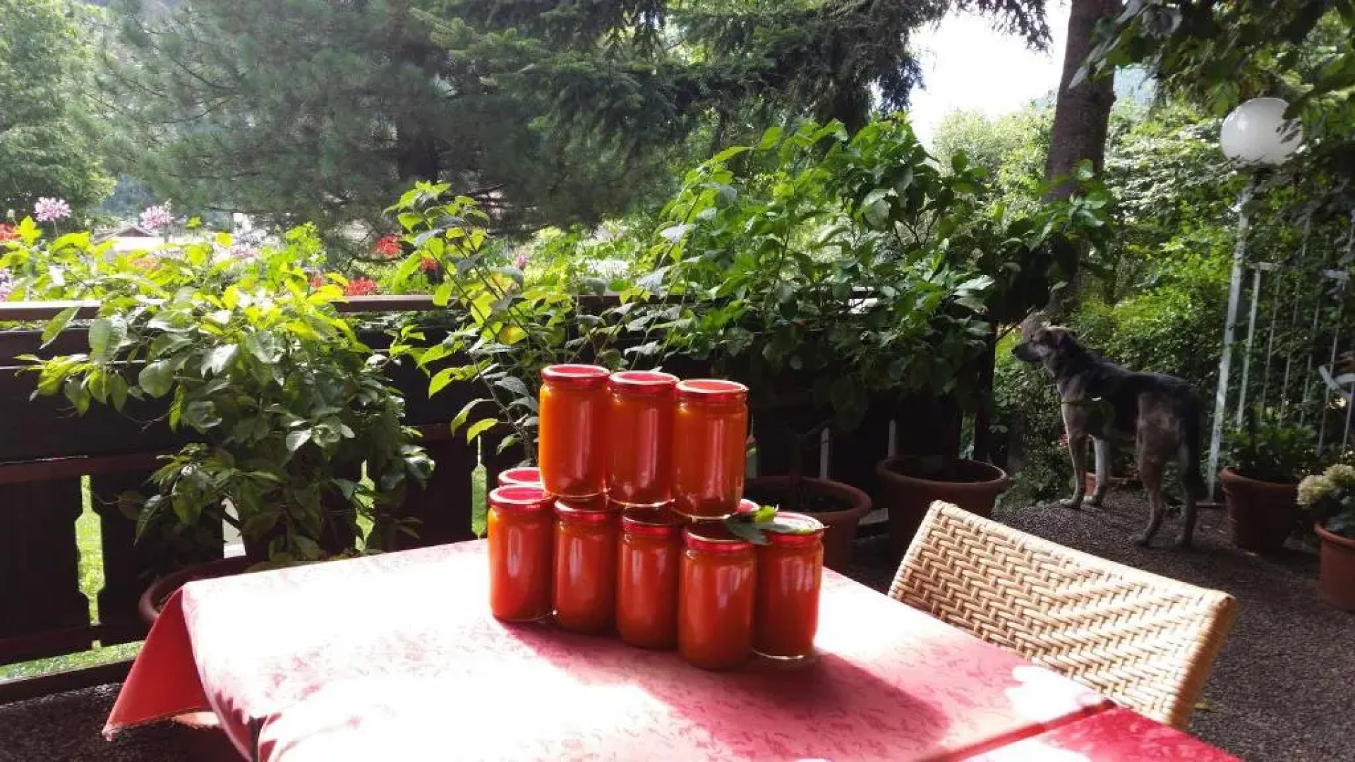 Hotel Schwarzbachhof