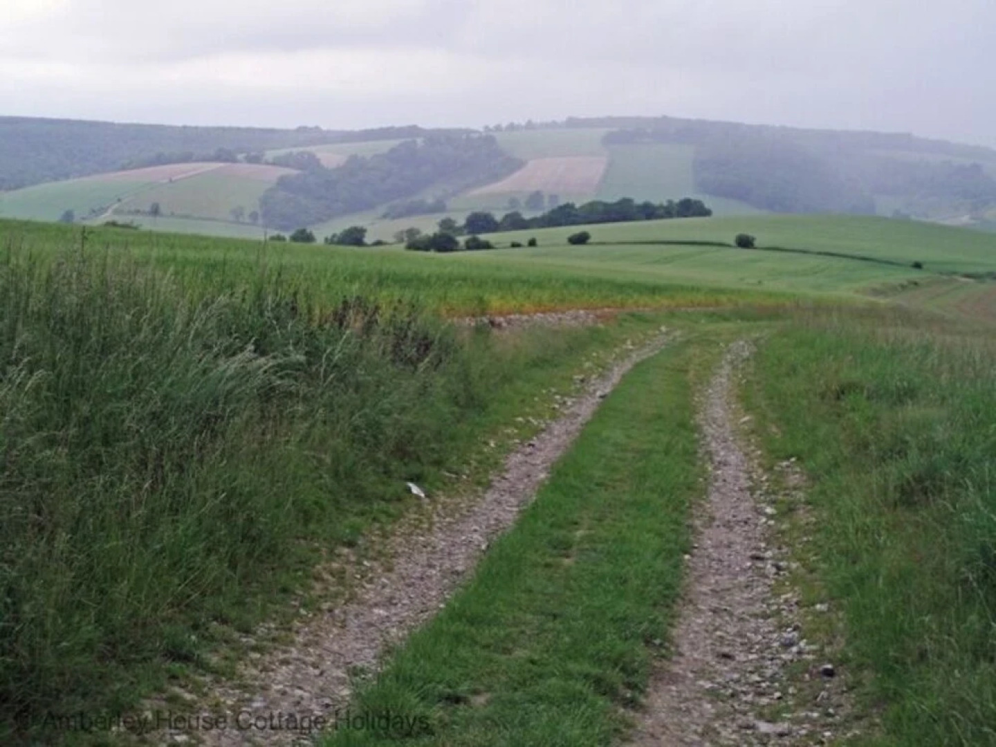 The Old Tractor Shed
