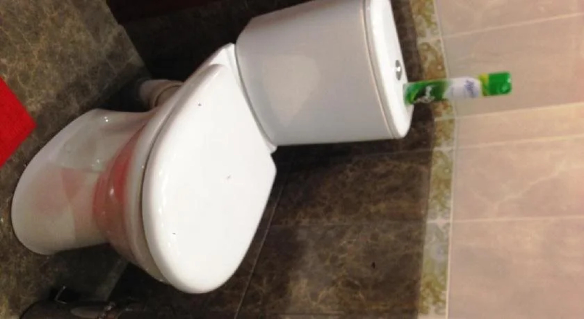 Дуэт в Люблино