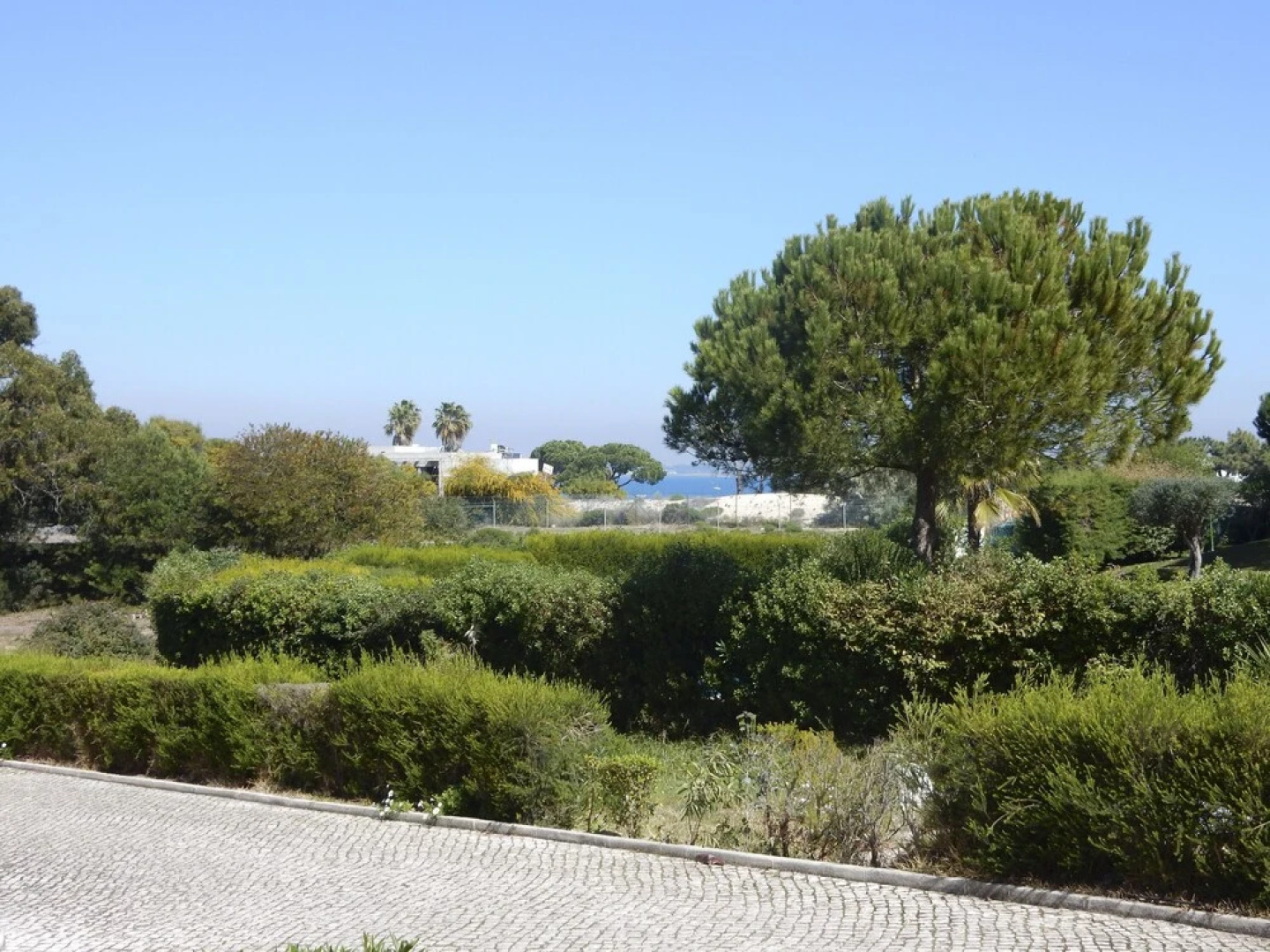 LV Premier Troia - TR1