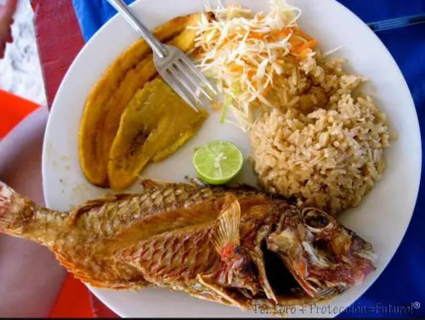 Hotel Oasis del Pacifico Playa Naranjo