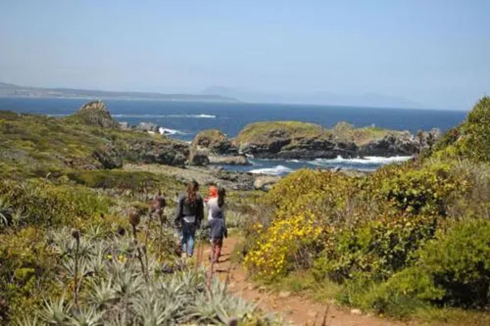 Cabañas Familiares 2