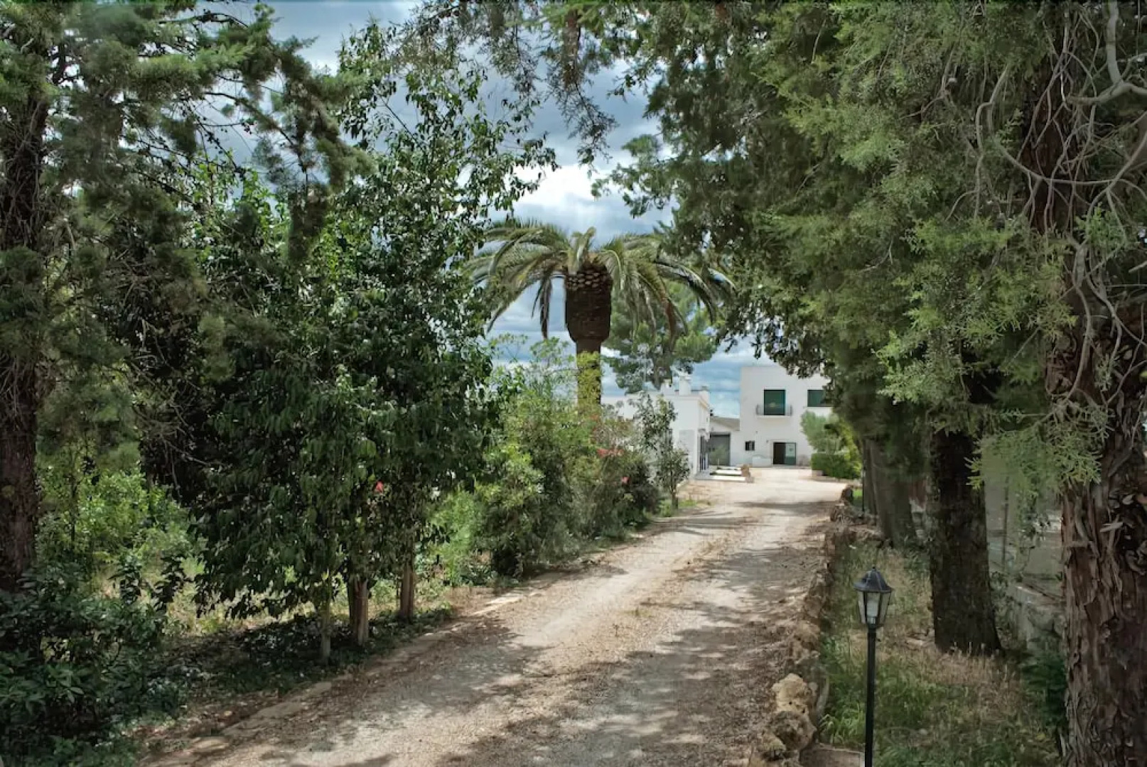 Masseria Strada Agriturismo