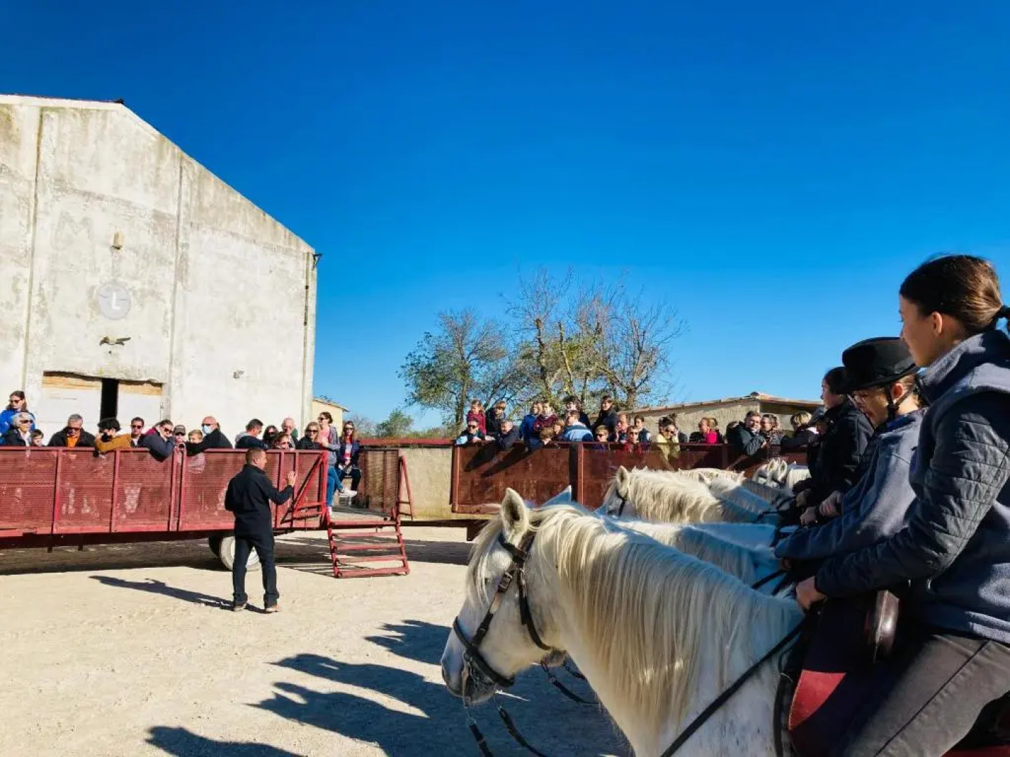 Manade des Baumelles