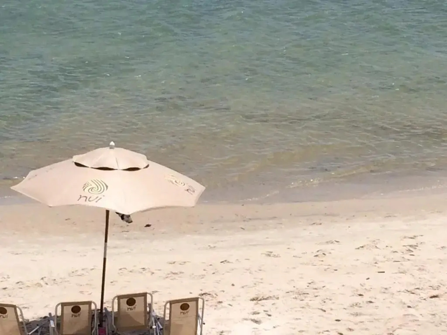 Flat 2 Quartos Em Muro Alto - Nui Supreme