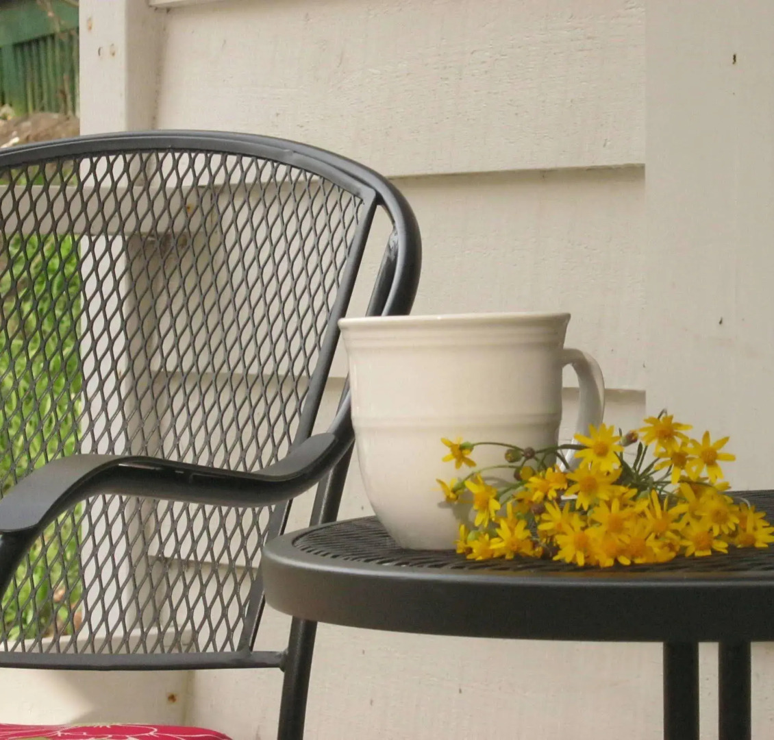 The Cabins at Healing Springs
