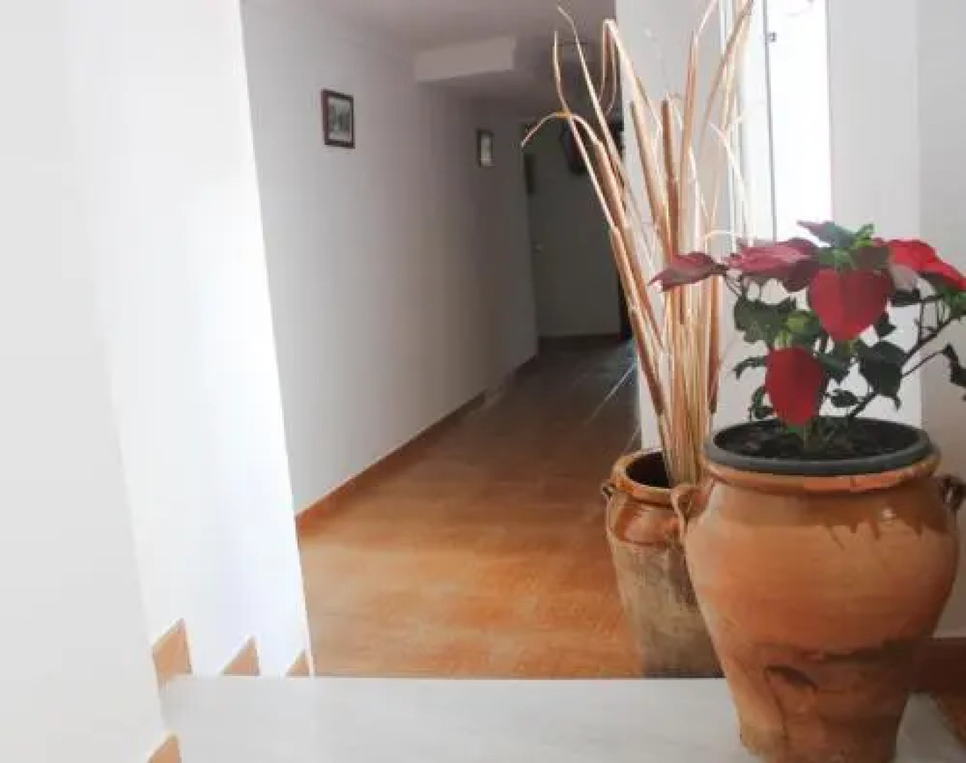 Pensión Algarrobeña